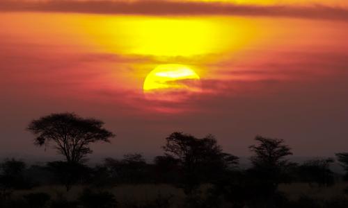 Meru National Park